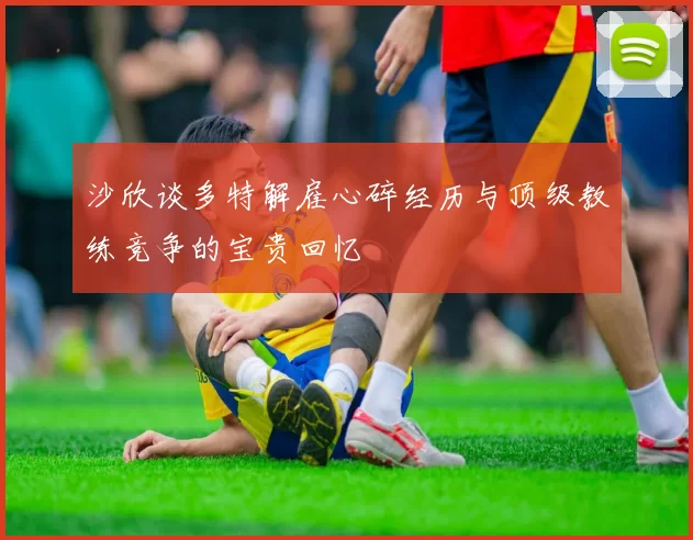沙欣谈多特解雇心碎经历与顶级教练竞争的宝贵回忆